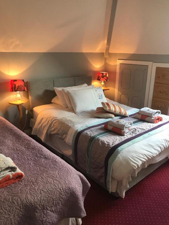Aurora House Bed And Breakfast Athy Extérieur photo
