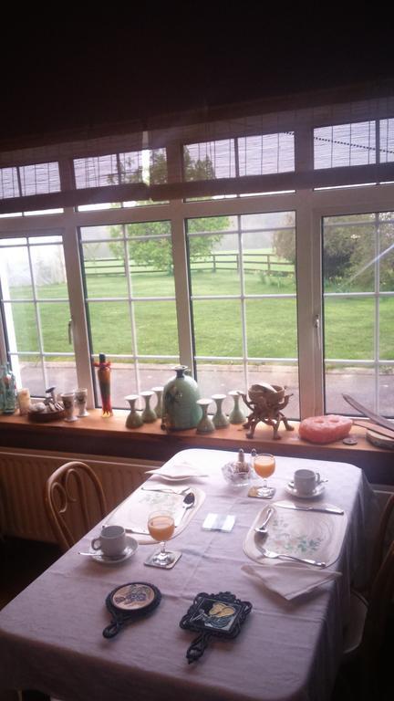 Aurora House Bed And Breakfast Athy Extérieur photo